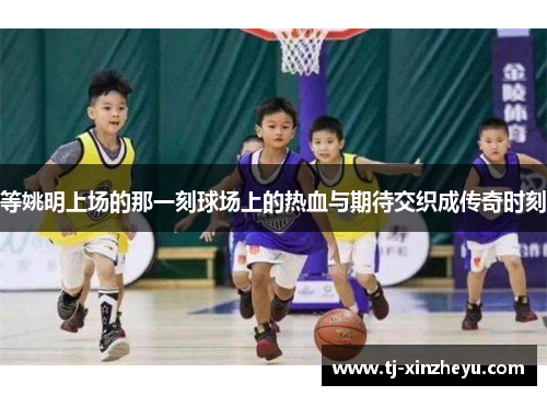 等姚明上场的那一刻球场上的热血与期待交织成传奇时刻